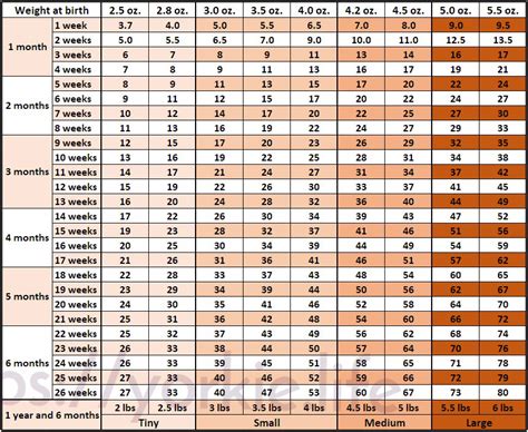 yorkie growing chart